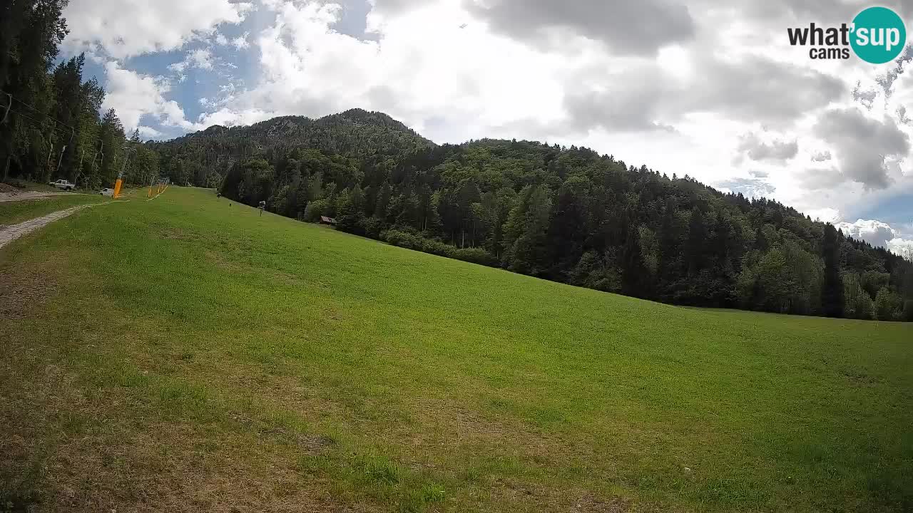 Ski Kranjska Gora | Brsnina