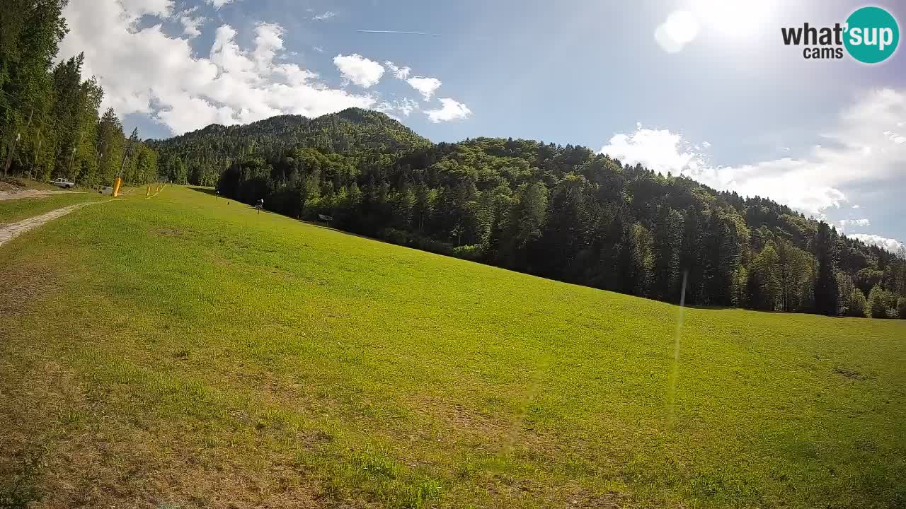 Esquí Kranjska Gora | Brsnina
