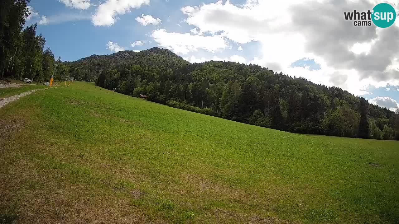 Kranjska Gora SKIJANJE | Brsnina