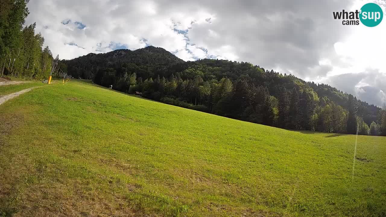 Kranjska Gora SKIJANJE | Brsnina