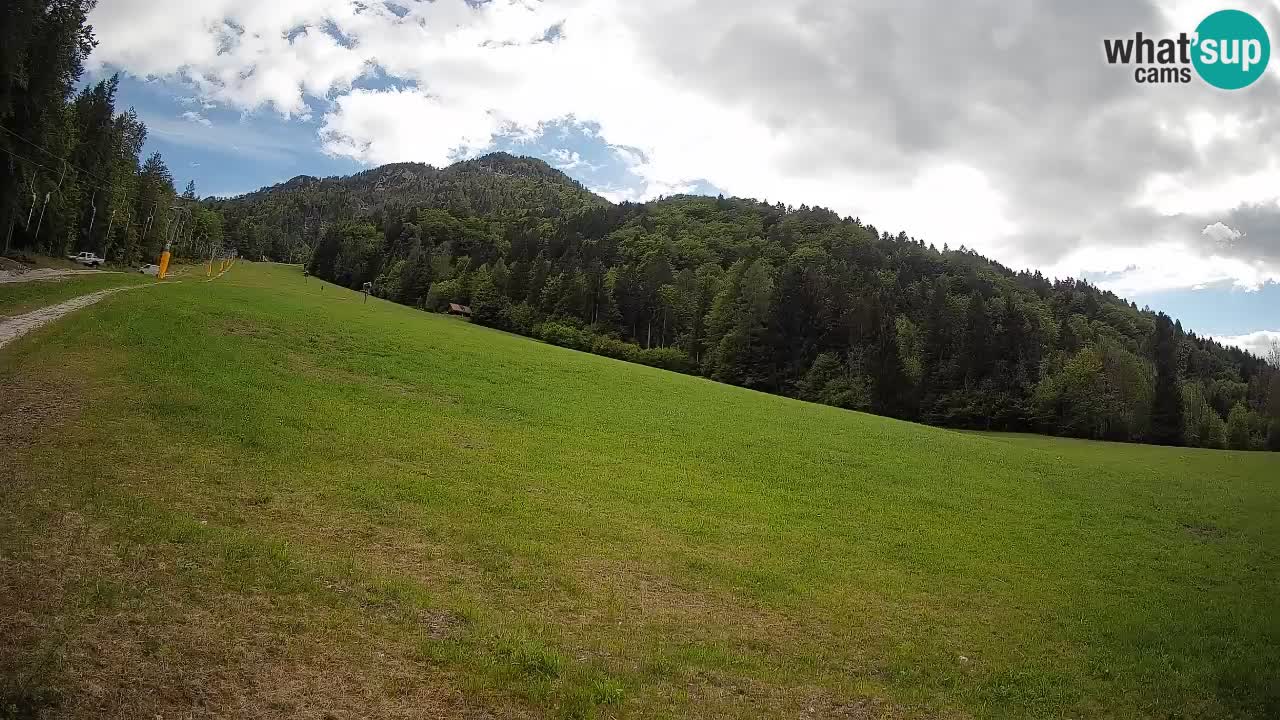 Comprensorio sciistico Kranjska Gora | Brsnina