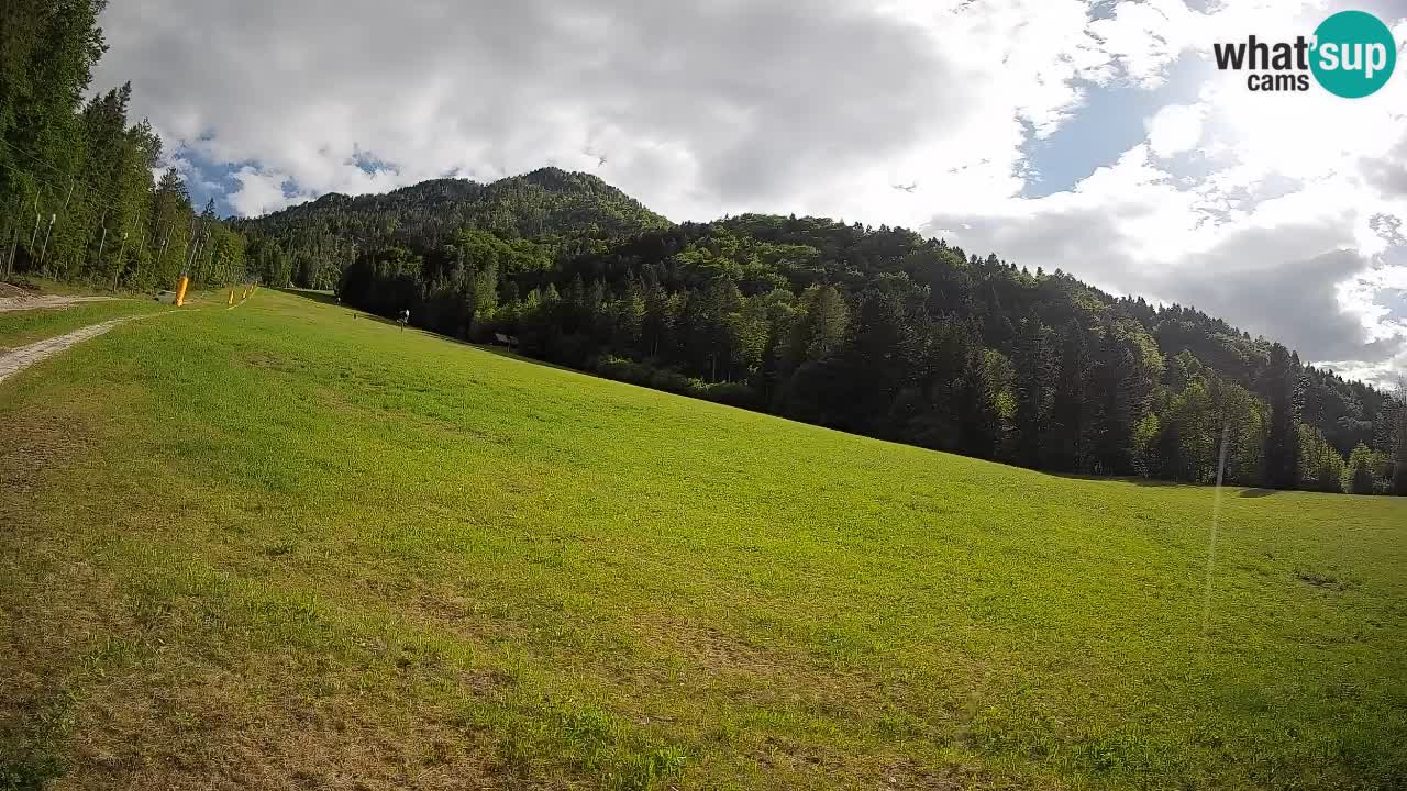 RTC Kranjska Gora | Brsnina