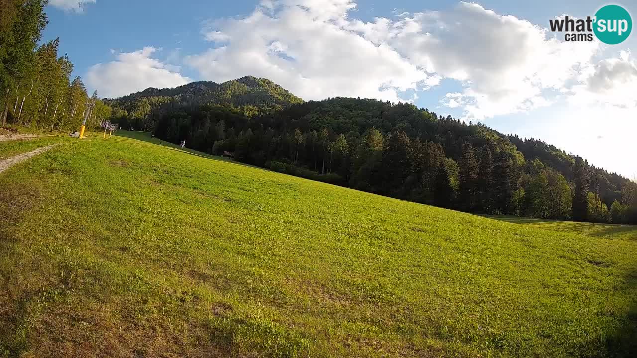 Ski Kranjska Gora | Brsnina