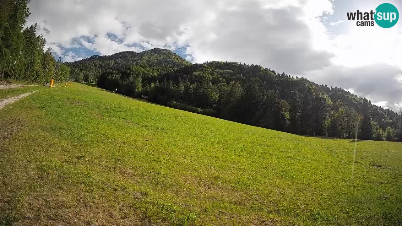 Ski Kranjska Gora | Brsnina