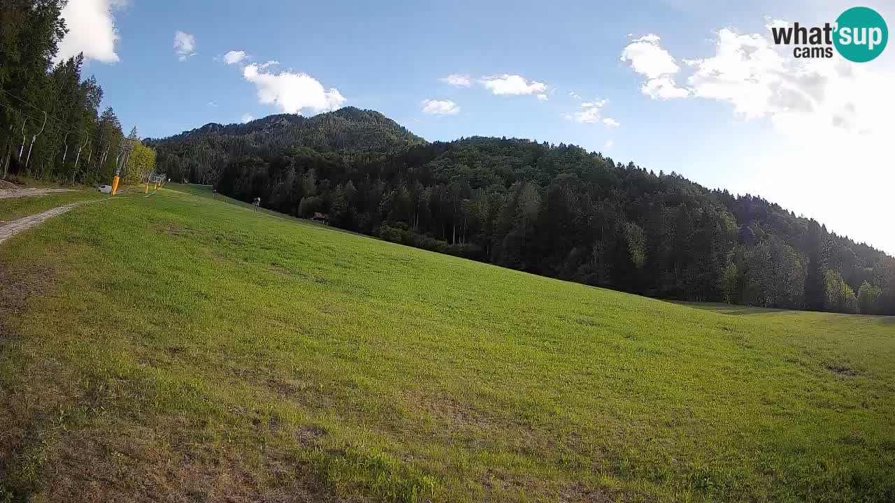 Comprensorio sciistico Kranjska Gora | Brsnina