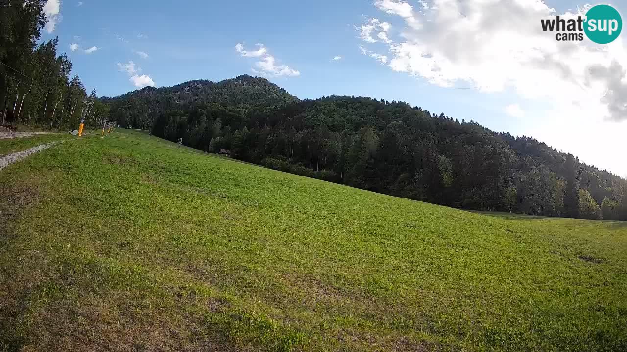 Kranjska Gora Station de ski | Brsnina