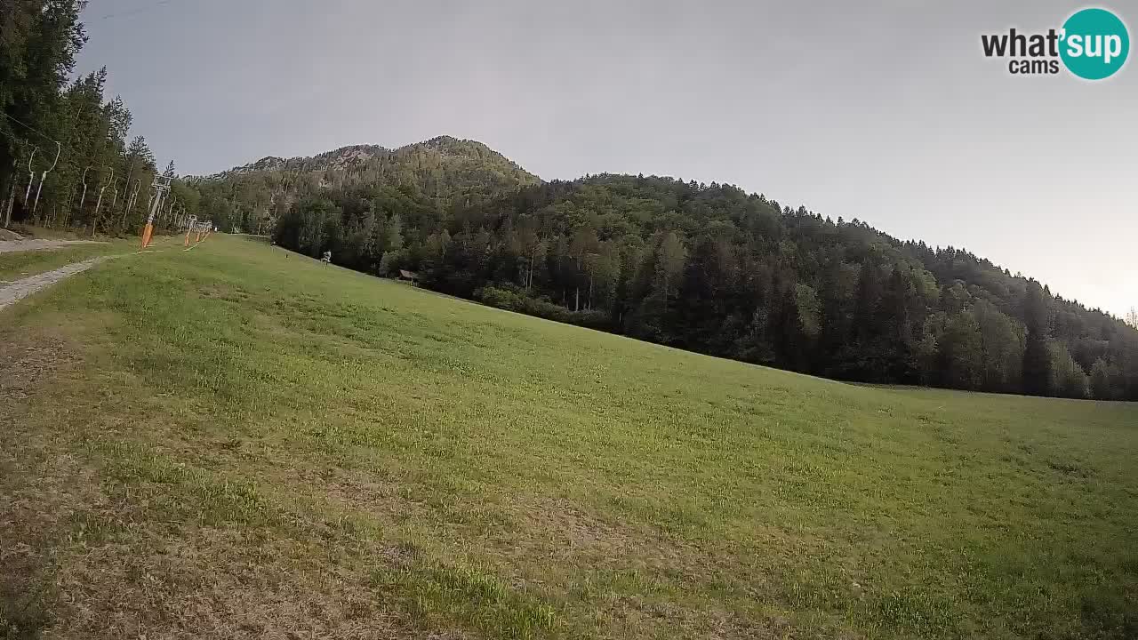 RTC Skigebiet Kranjska Gora | Brsnina