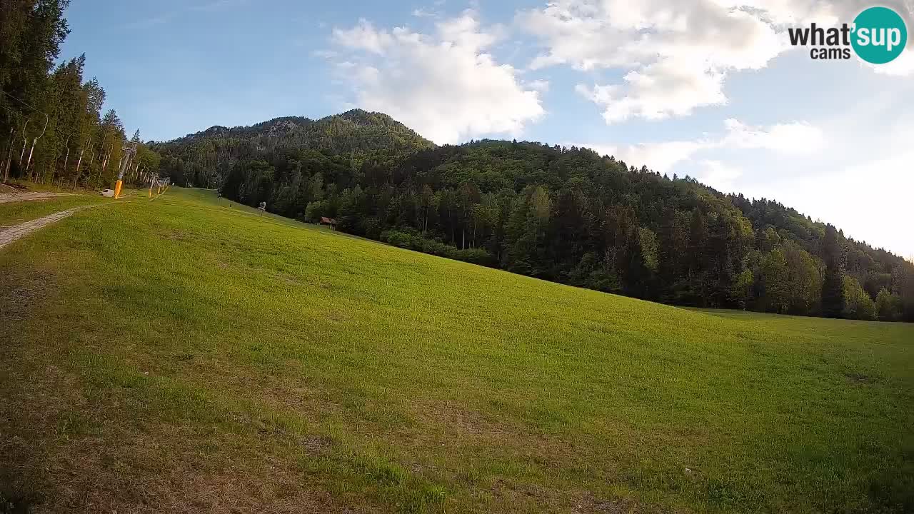 Kranjska Gora SKIJANJE | Brsnina