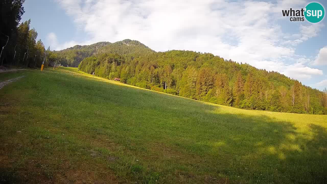 RTC Skigebiet Kranjska Gora | Brsnina