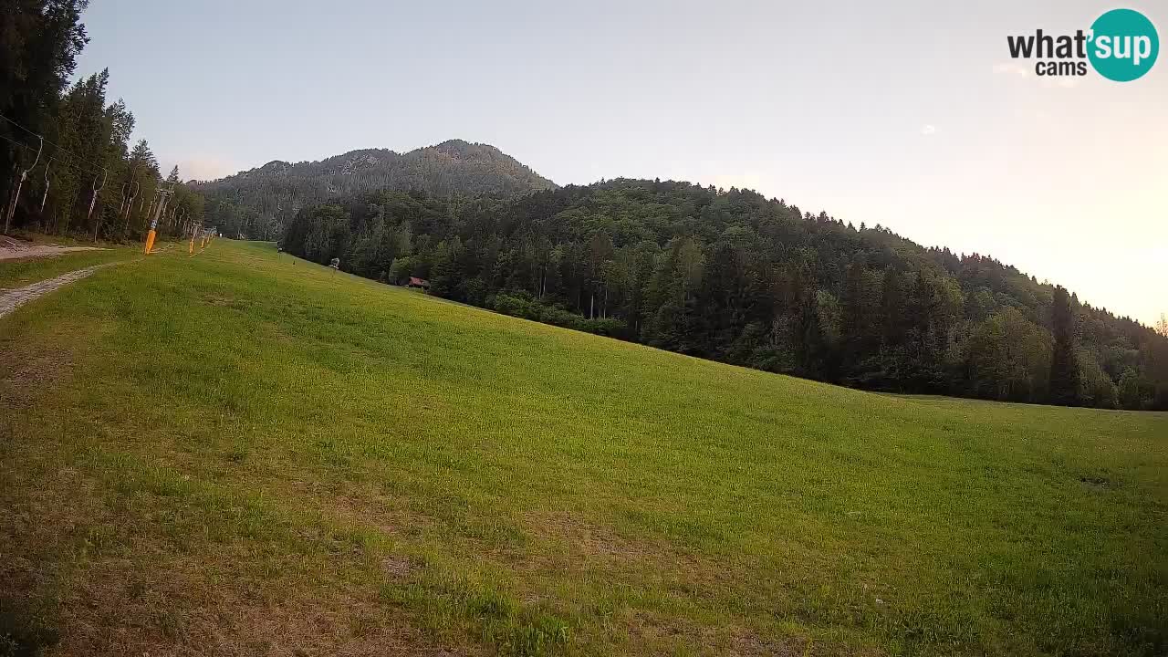 Kranjska Gora Station de ski | Brsnina