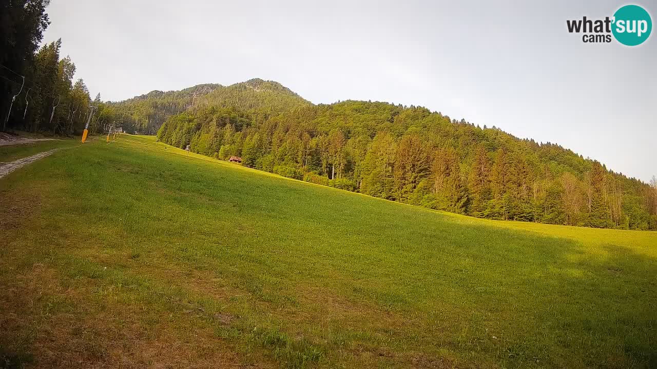 Ski Kranjska Gora | Brsnina