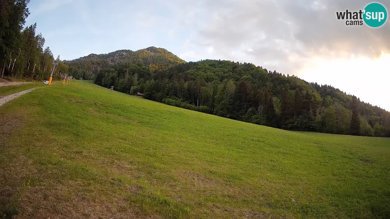 Comprensorio sciistico Kranjska Gora | Brsnina