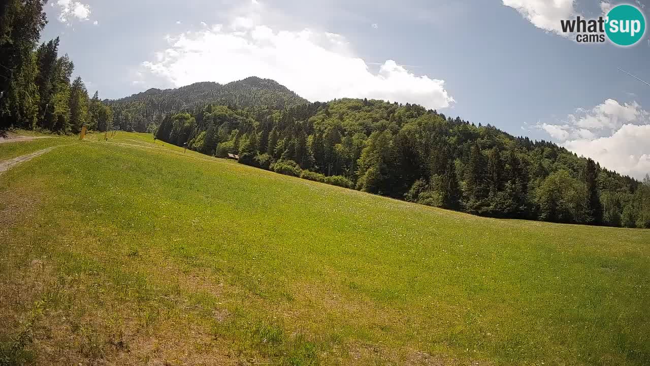Kranjska Gora Station de ski | Brsnina