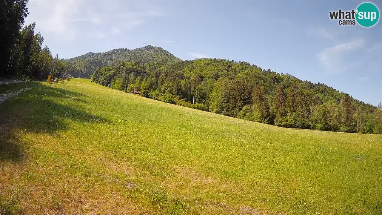 Kranjska Gora Station de ski | Brsnina