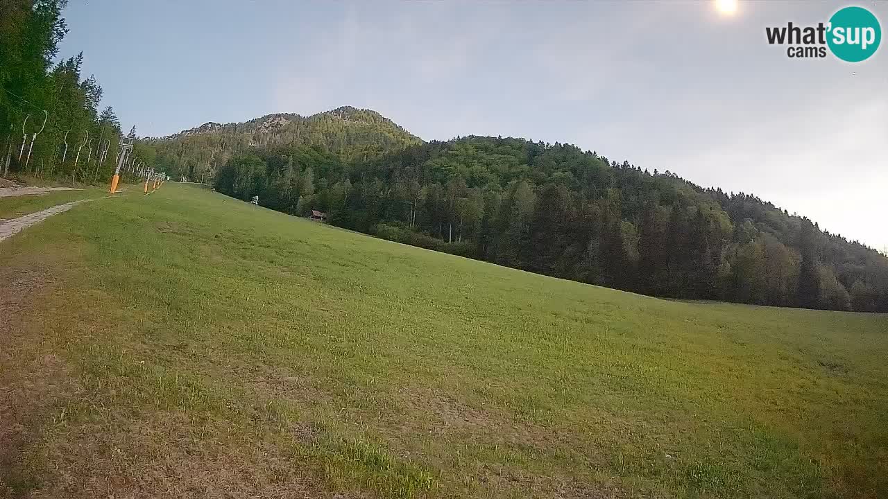 Kranjska Gora Station de ski | Brsnina