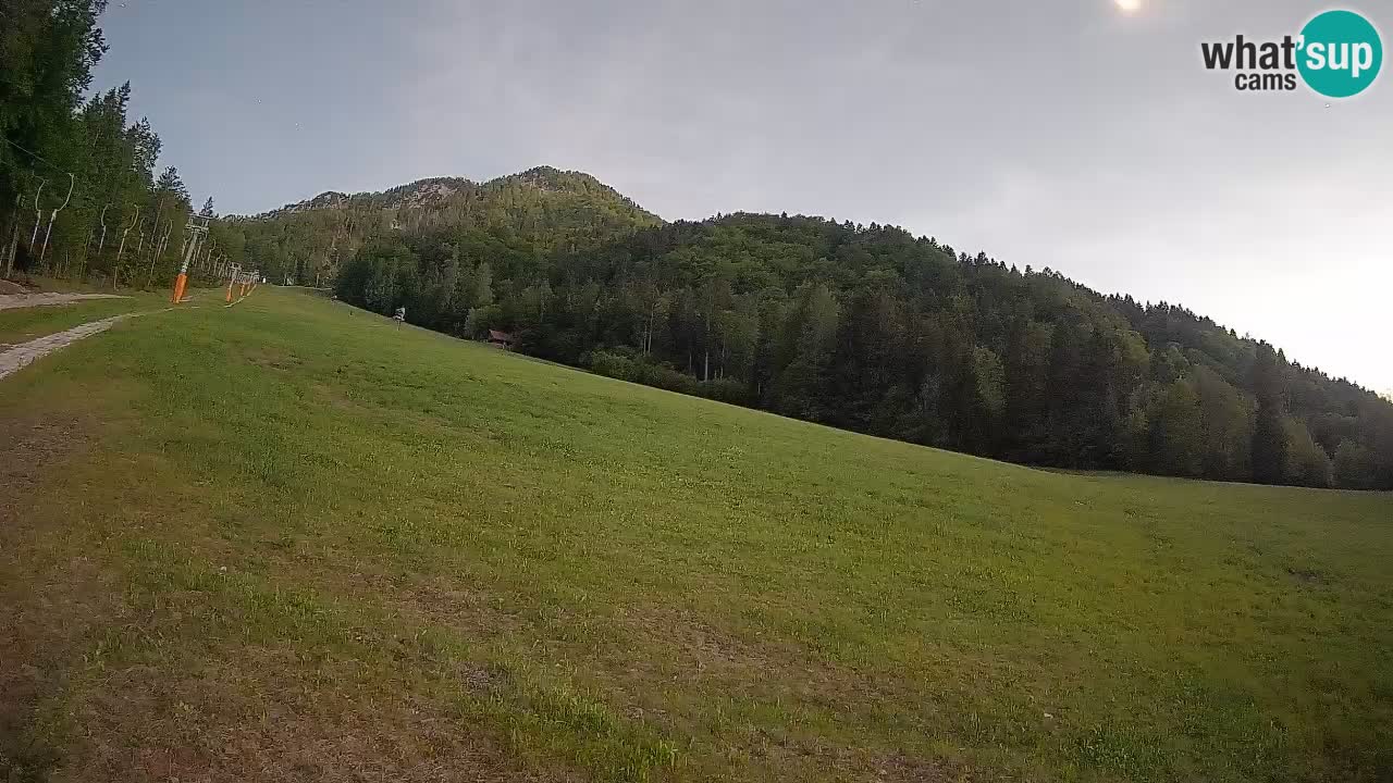 Ski Kranjska Gora | Brsnina