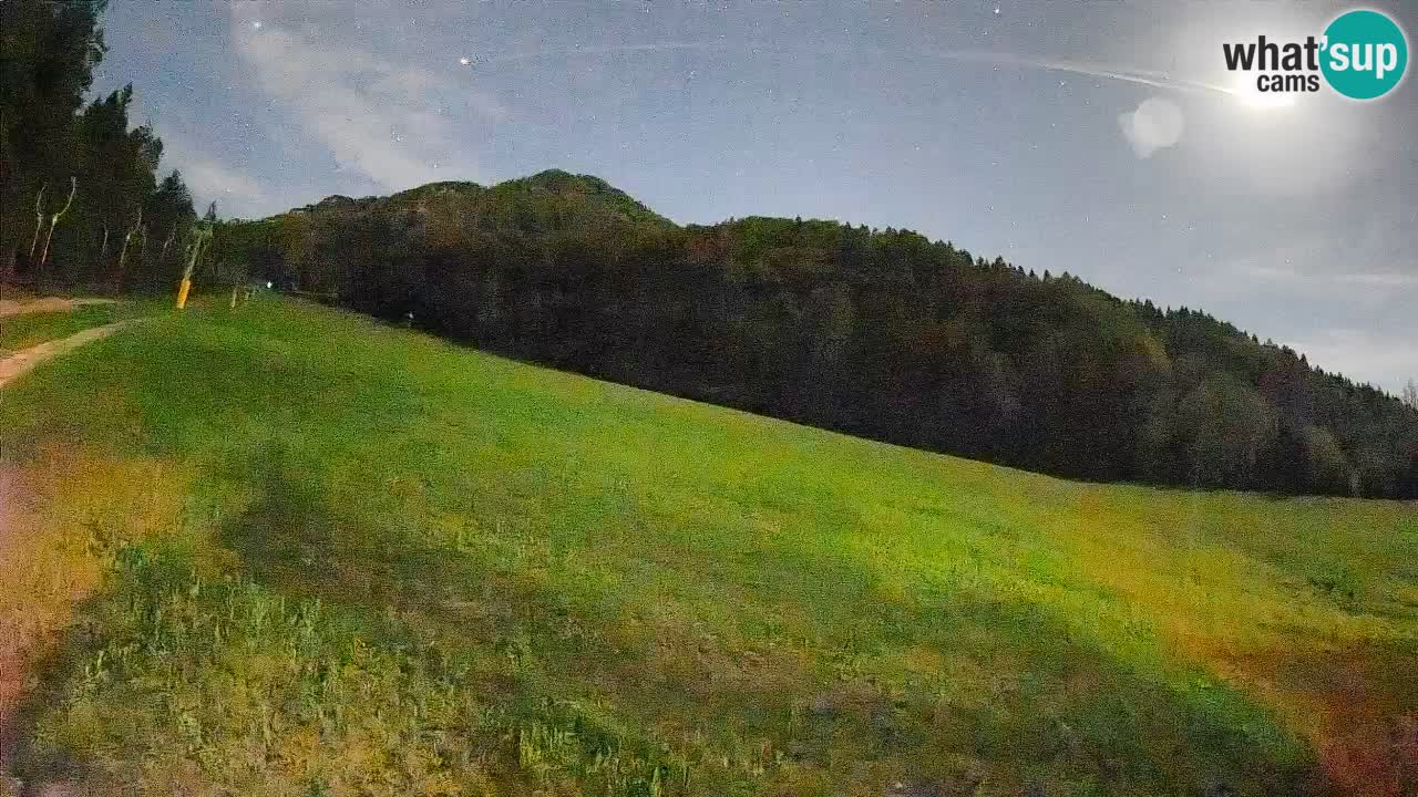 RTC Kranjska Gora | Brsnina