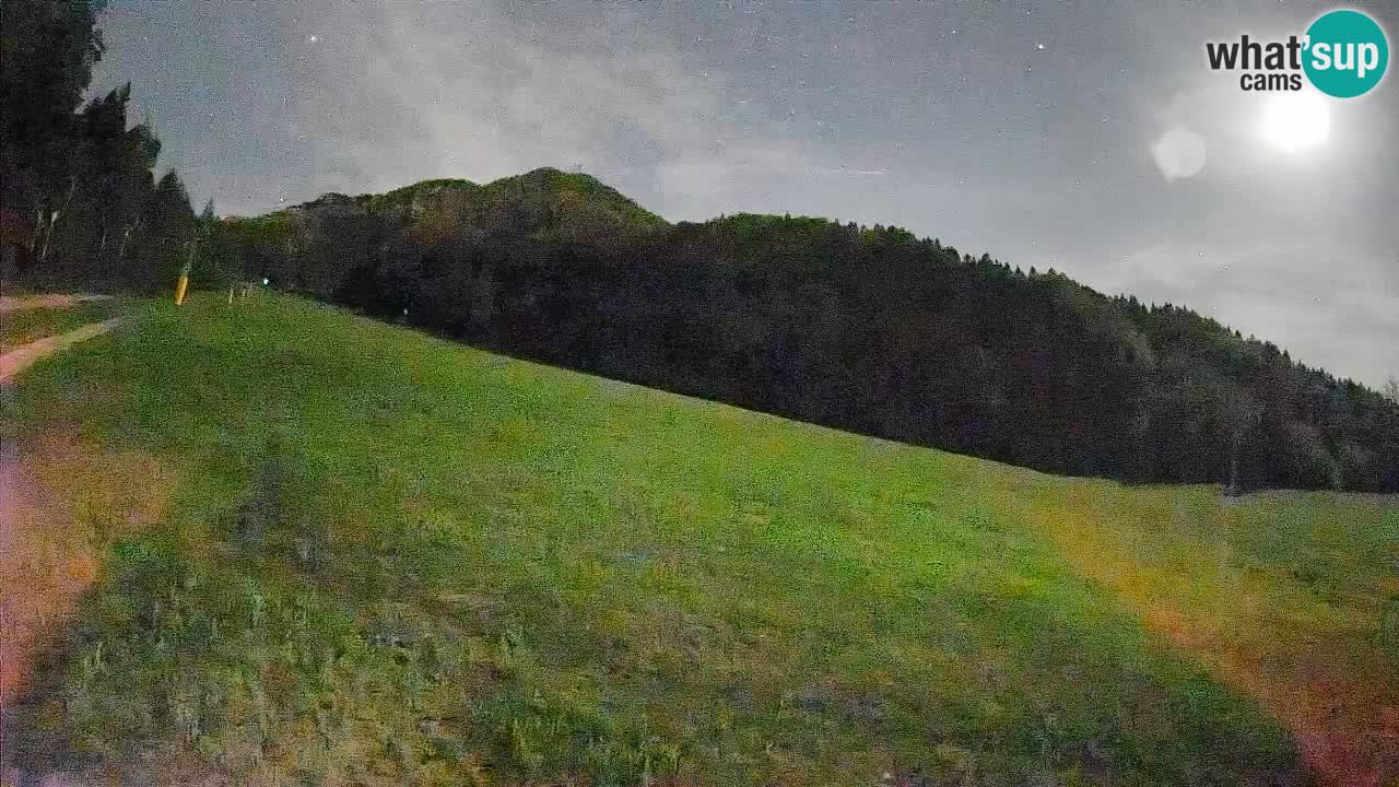 Esquí Kranjska Gora | Brsnina
