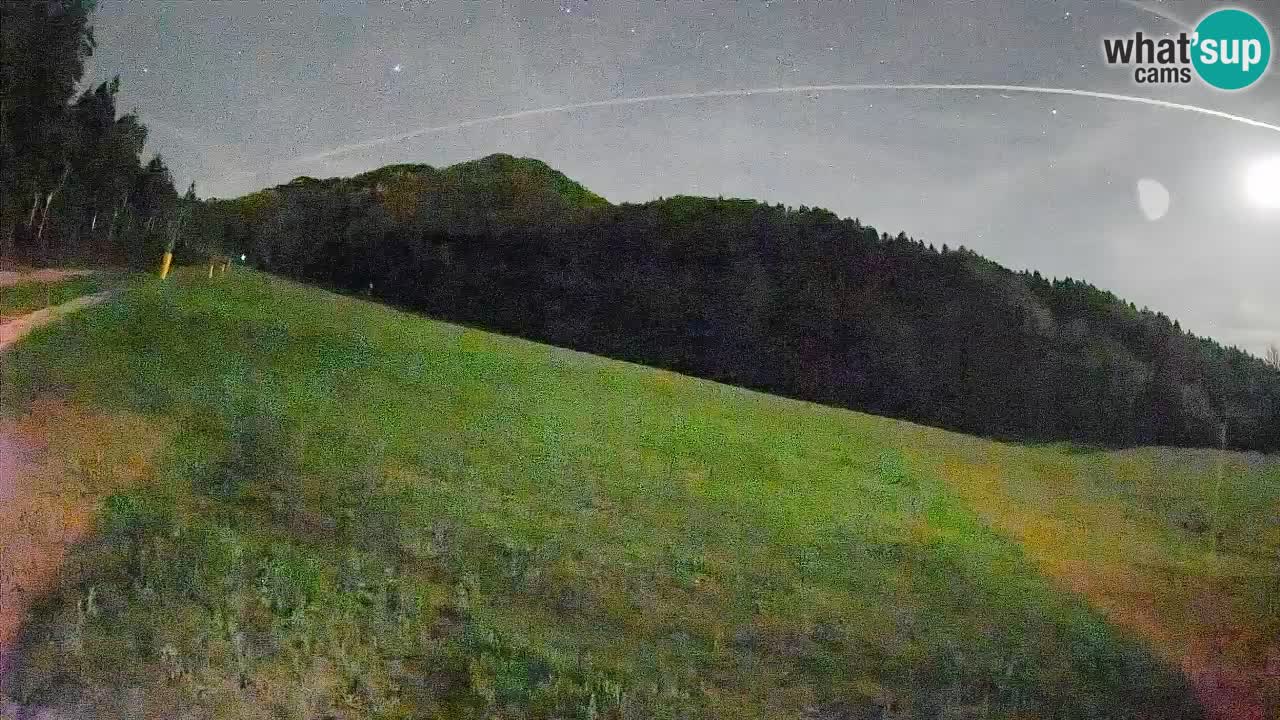Comprensorio sciistico Kranjska Gora | Brsnina