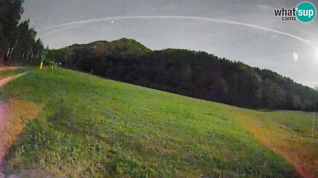 Esquí Kranjska Gora | Brsnina