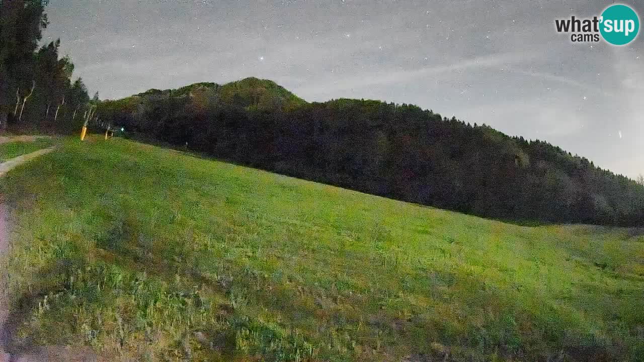 Comprensorio sciistico Kranjska Gora | Brsnina