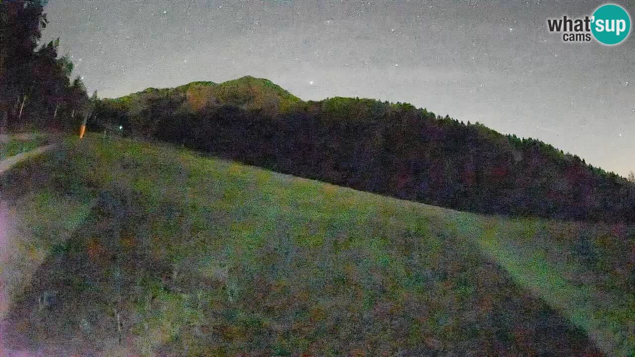 RTC Skigebiet Kranjska Gora | Brsnina