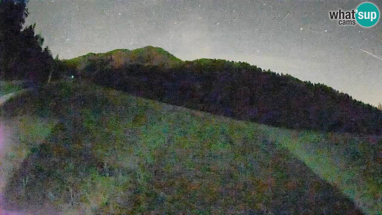 RTC Skigebiet Kranjska Gora | Brsnina
