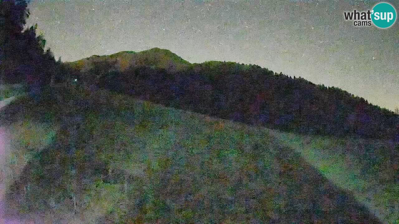Ski Kranjska Gora | Brsnina