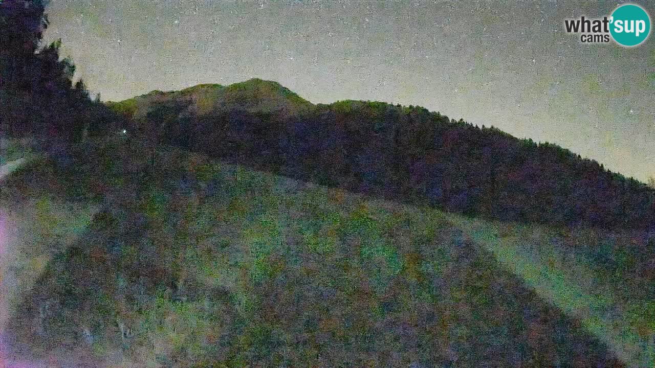 RTC Kranjska Gora | Brsnina