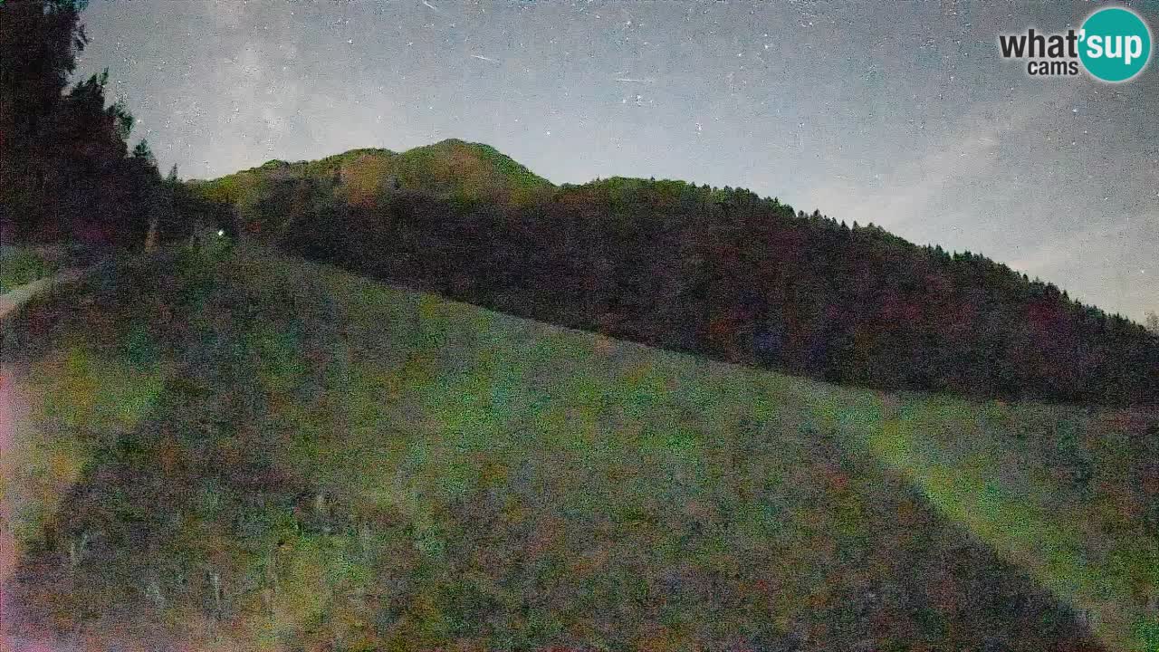 RTC Skigebiet Kranjska Gora | Brsnina