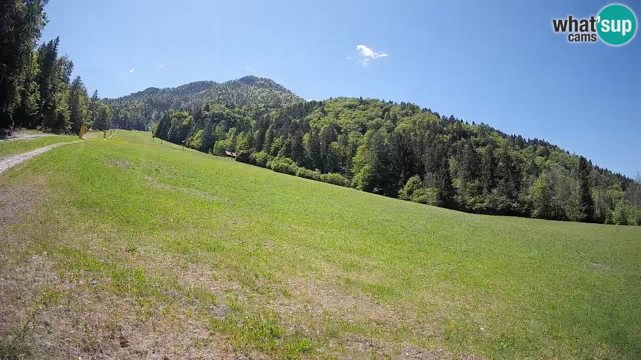 Kranjska Gora SKIJANJE | Brsnina