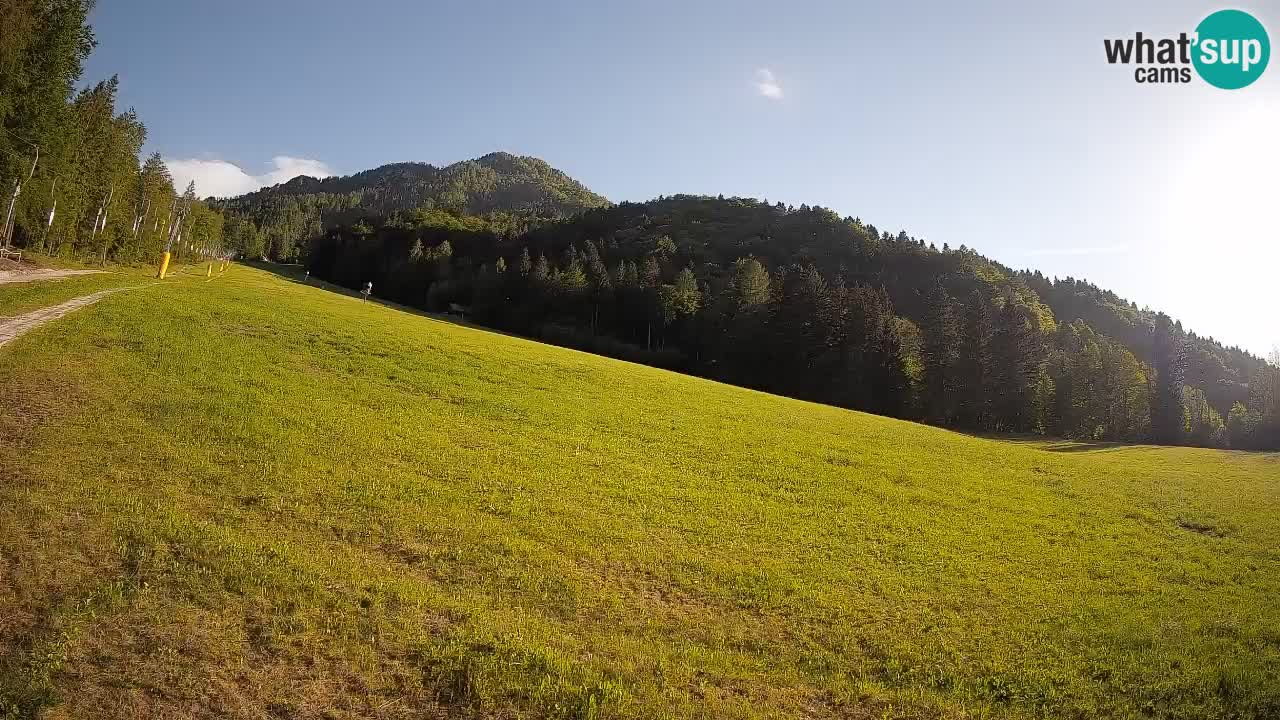 Esquí Kranjska Gora | Brsnina