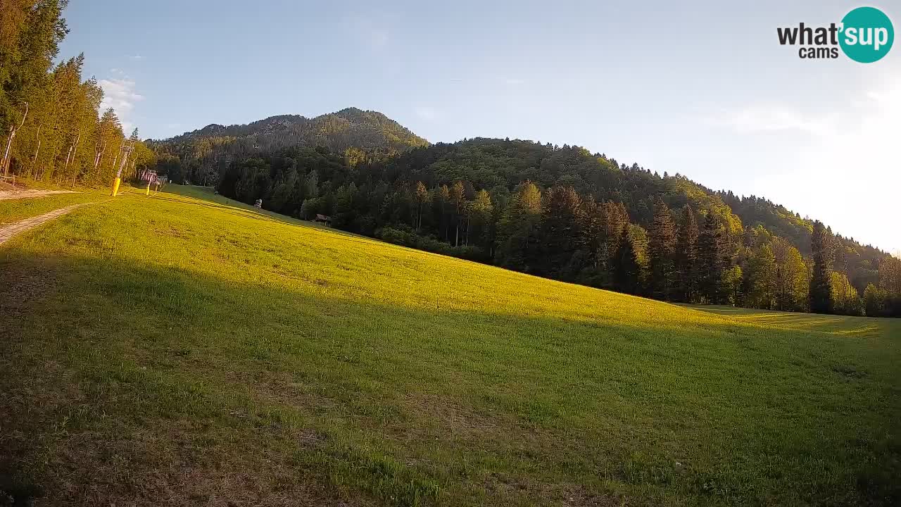 Esquí Kranjska Gora | Brsnina