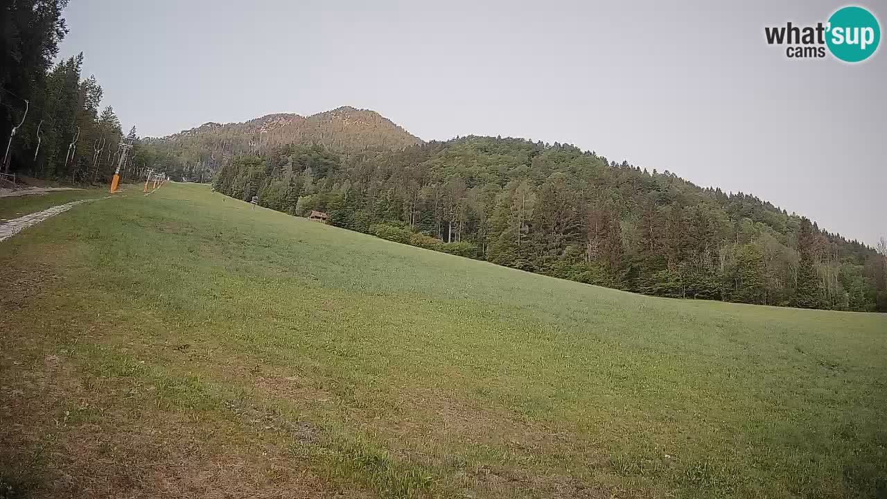 Ski Kranjska Gora | Brsnina
