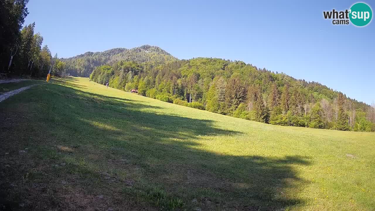 Esquí Kranjska Gora | Brsnina
