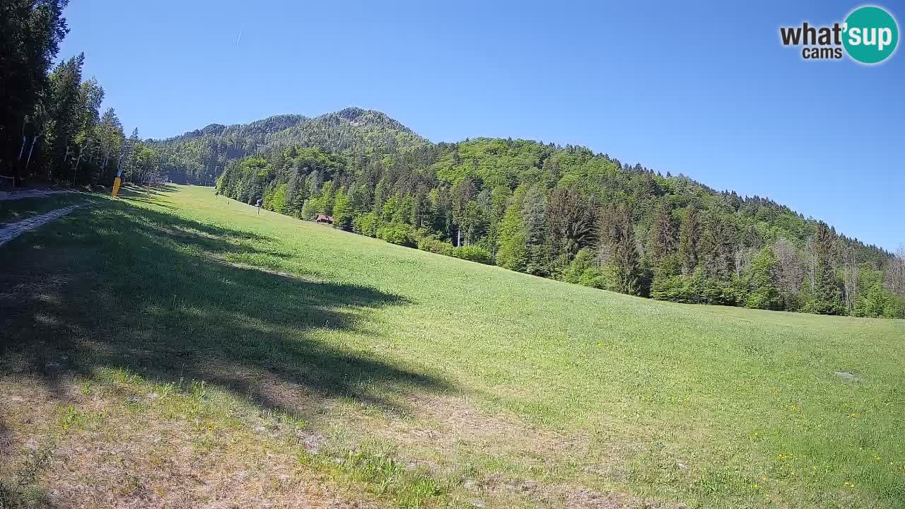 Kranjska Gora Station de ski | Brsnina