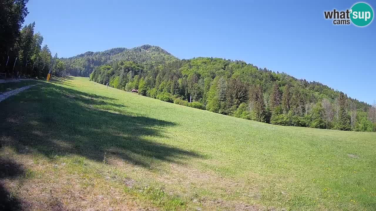Esquí Kranjska Gora | Brsnina