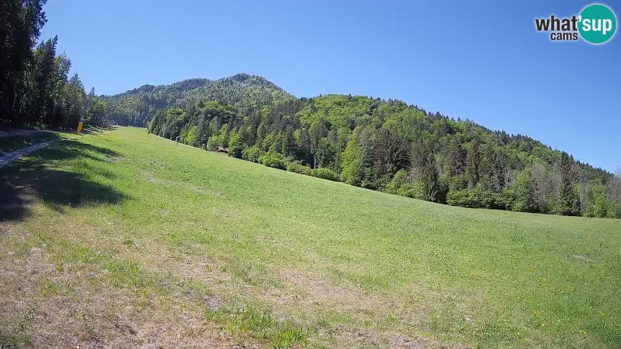 Kranjska Gora Station de ski | Brsnina