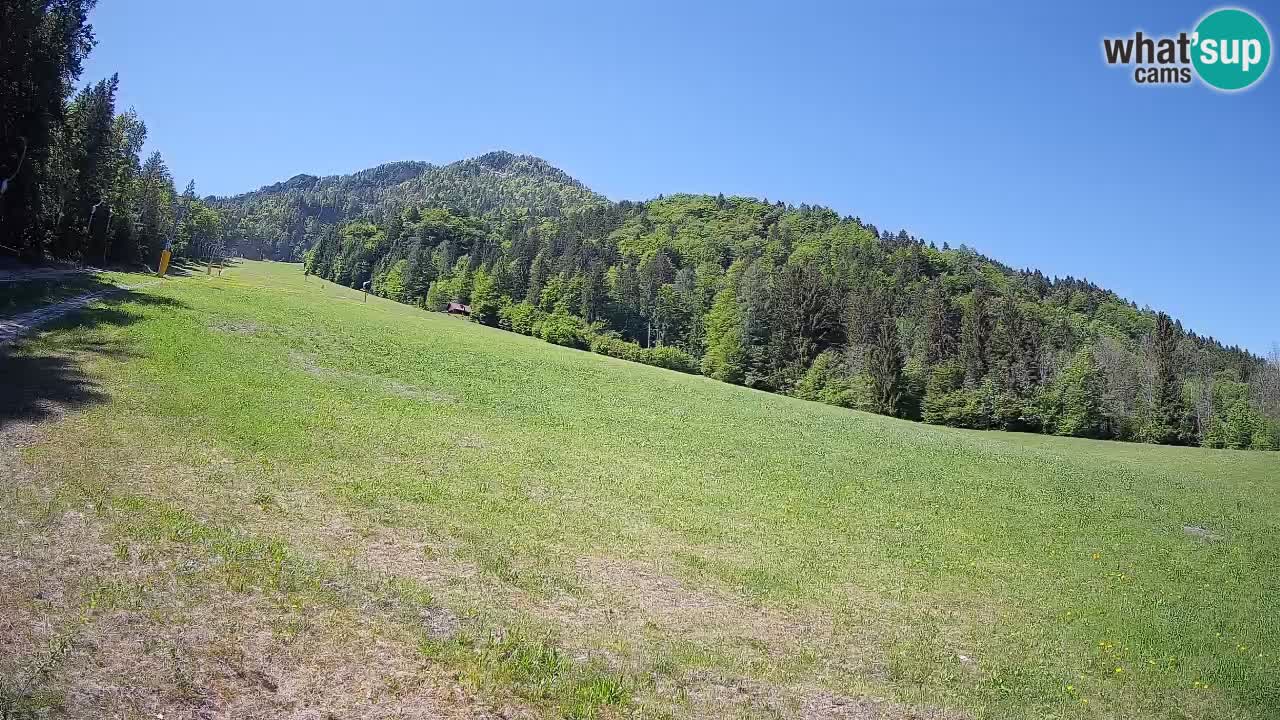 RTC Kranjska Gora | Brsnina