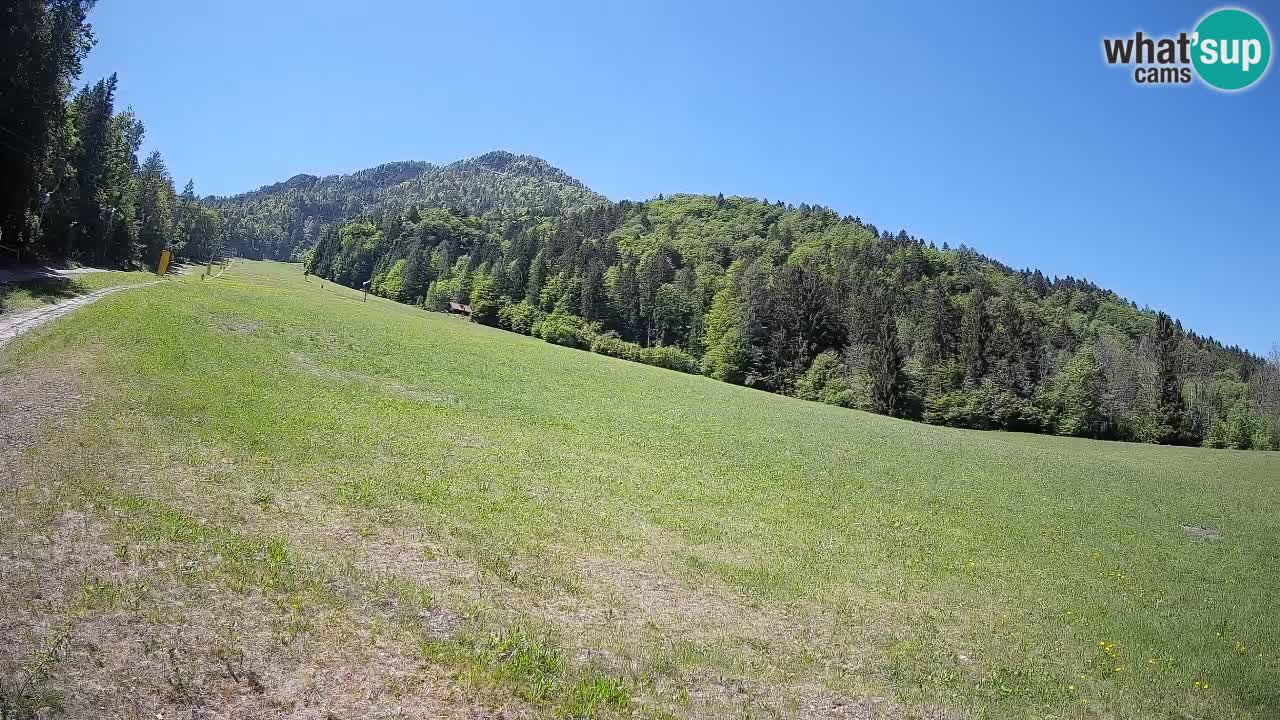 Comprensorio sciistico Kranjska Gora | Brsnina