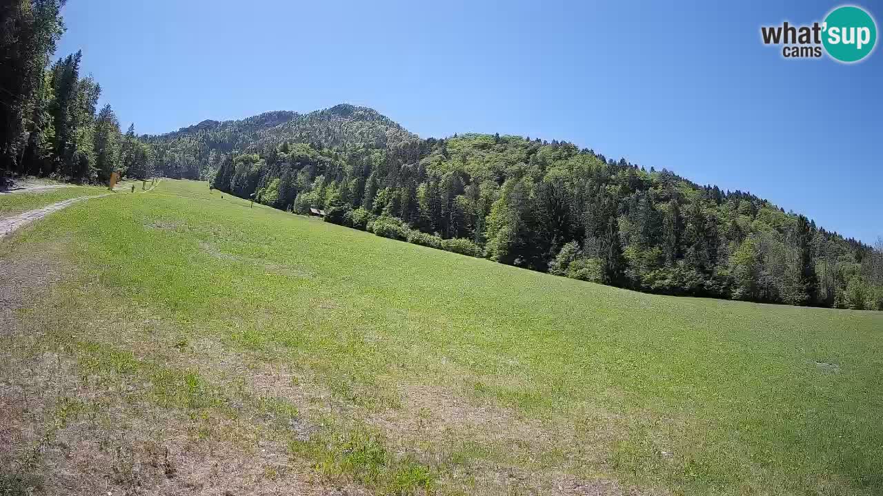 RTC Skigebiet Kranjska Gora | Brsnina