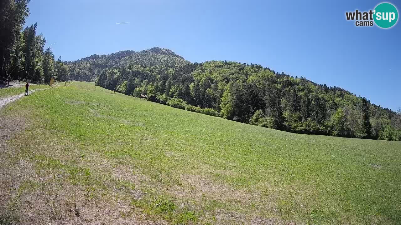 Kranjska Gora SKIJANJE | Brsnina