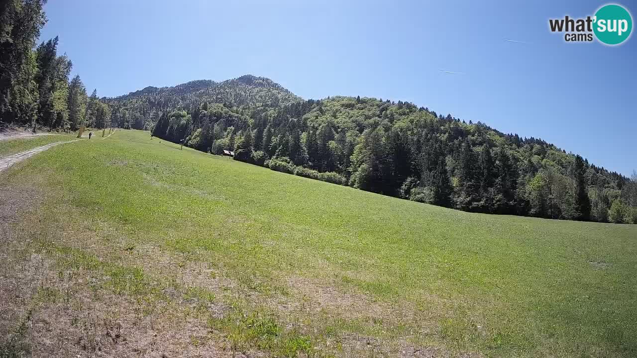RTC Skigebiet Kranjska Gora | Brsnina