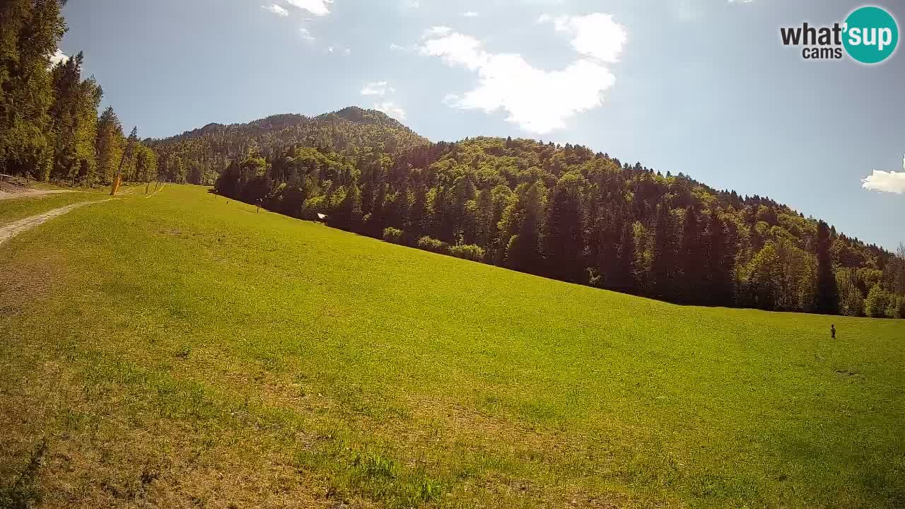 Ski Kranjska Gora | Brsnina