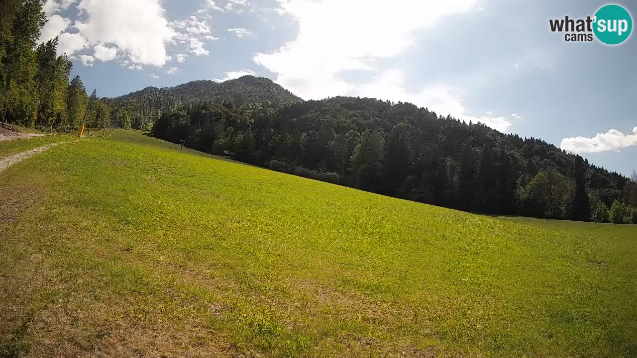 Comprensorio sciistico Kranjska Gora | Brsnina