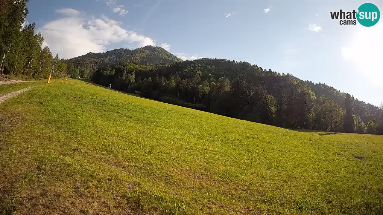 Comprensorio sciistico Kranjska Gora | Brsnina