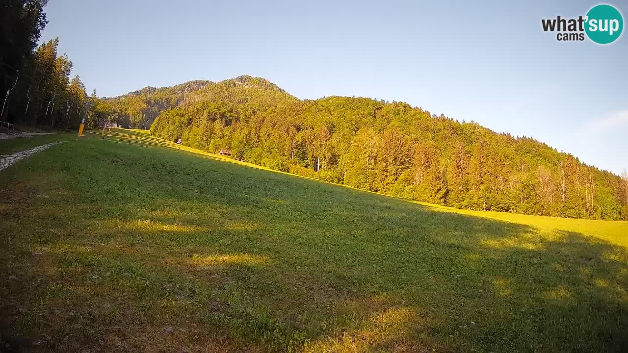RTC Kranjska Gora | Brsnina