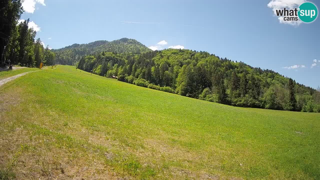 Kranjska Gora Station de ski | Brsnina