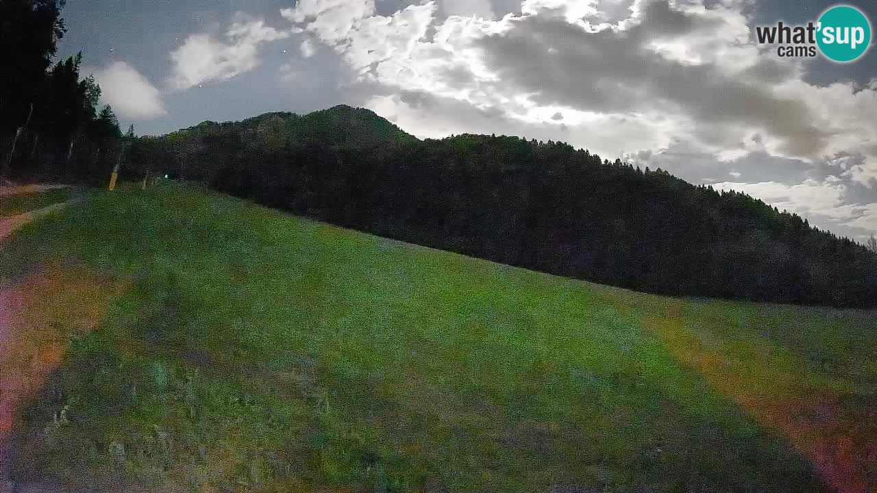Ski Kranjska Gora | Brsnina