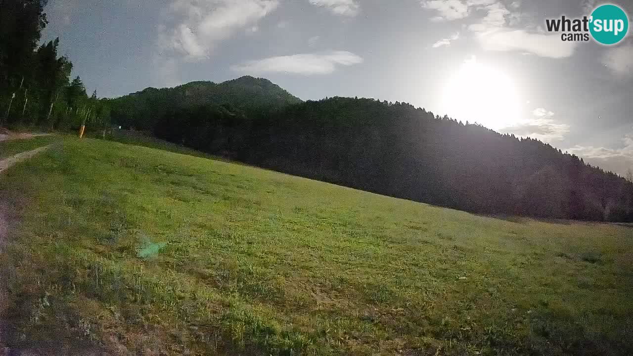 Ski Kranjska Gora | Brsnina